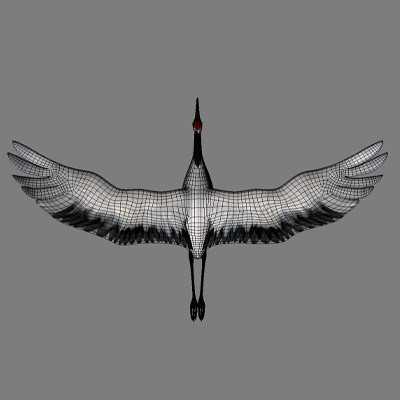 obj crane flight - Crane by Bird Studio